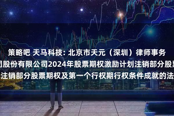 策略吧 天马科技: 北京市天元（深圳）律师事务所关于福建天马科技集团股份有限公司2024年股票期权激励计划注销部分股票期权及第一个行权期行权条件成就的法律意见内容摘要