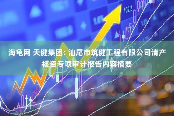 海龟网 天健集团: 汕尾市筑健工程有限公司清产核资专项审计报告内容摘要