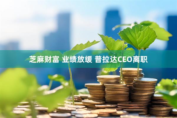 芝麻财富 业绩放缓 普拉达CEO离职
