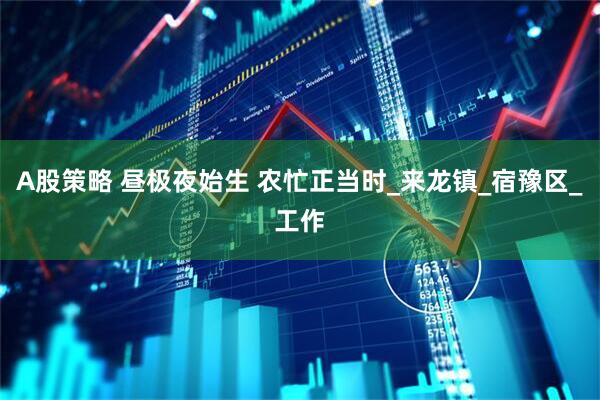 A股策略 昼极夜始生 农忙正当时_来龙镇_宿豫区_工作
